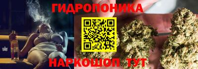 индика Тула