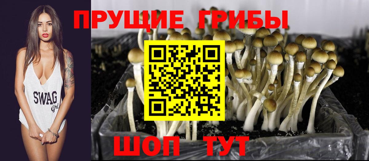 Новочебоксарск  Галлюциногенные грибы Psilocybine cubensis  Вход с VPN  как найти   Галлюциногенные грибы мухоморы 